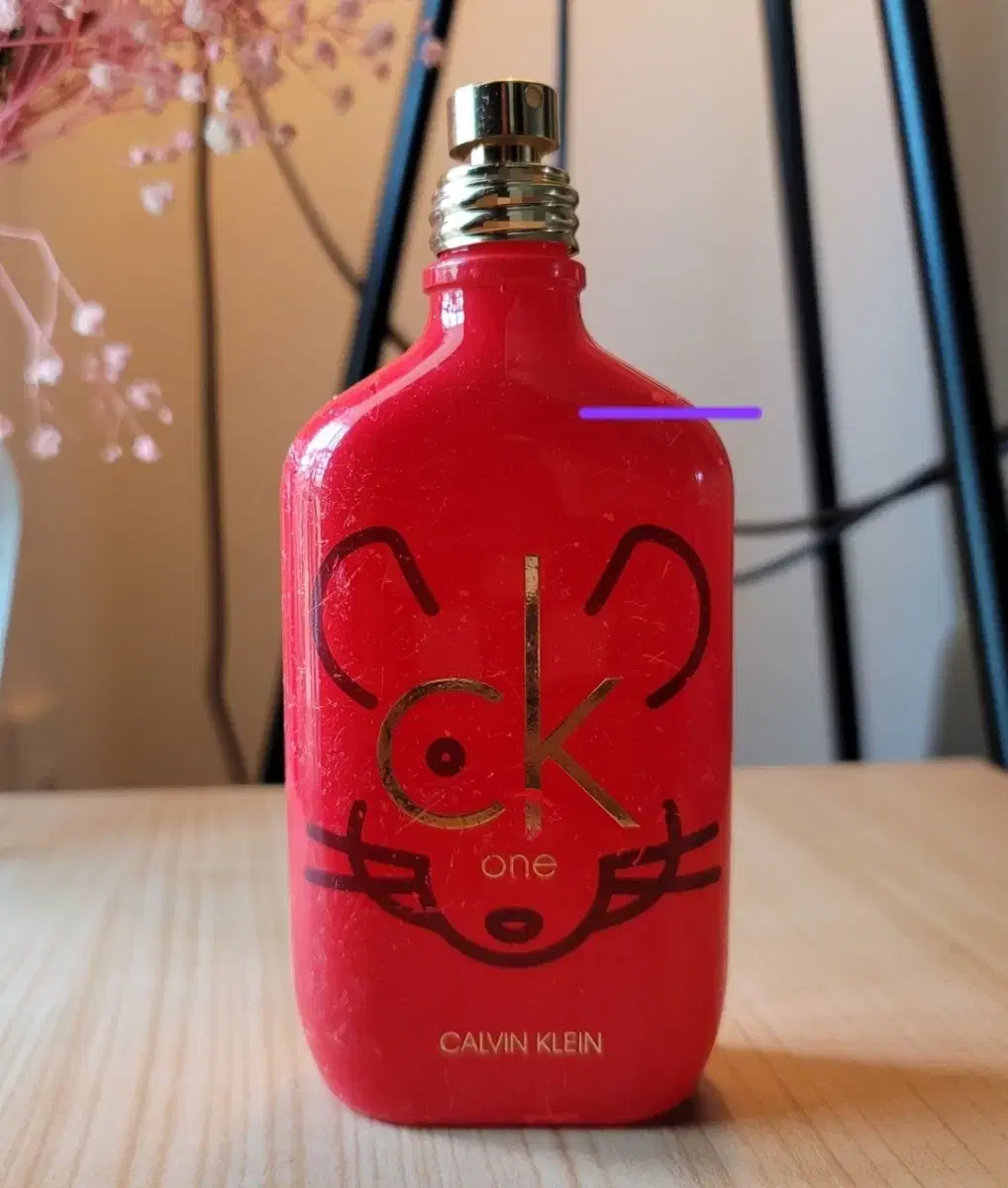 ck one 콜렉터스 에디션 EDT 100ml 향수